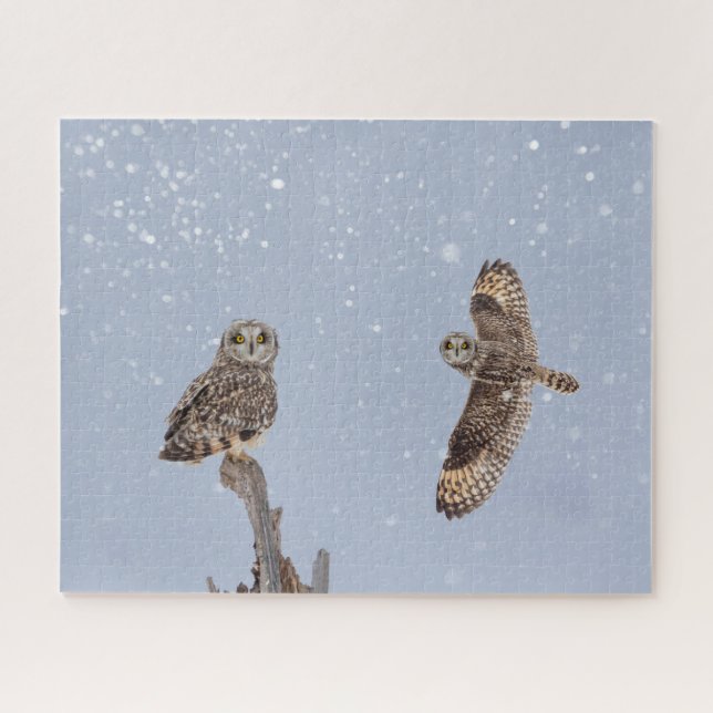 Puzzle des Chouettes à courte portée (Horizontal)
