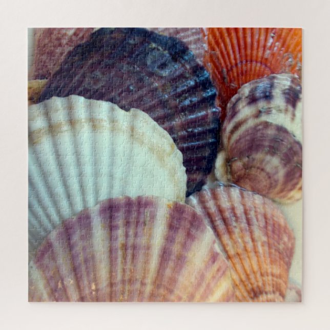 Puzzle des coquilles (Vertical)