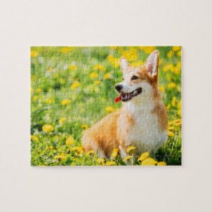 Puzzle des fleurs de Corgi