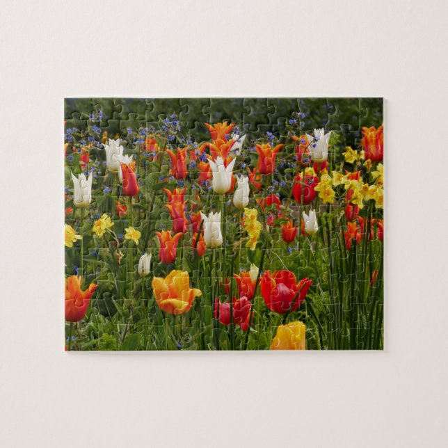 Puzzle des fleurs de printemps (Horizontal)