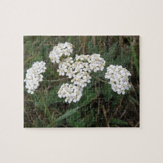 Puzzle des Fleurs sauvages blancs (Horizontal)