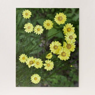 Puzzle des Marguerites Jaunes Danseuses
