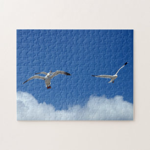 Puzzle des mouettes solitaires