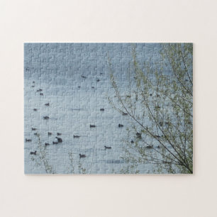 Puzzle des oiseaux du lac