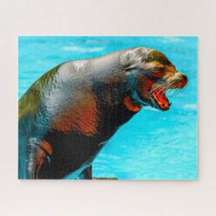 Puzzle des Otaries