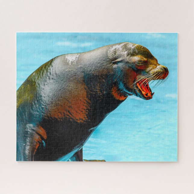 Puzzle des Otaries (Horizontal)