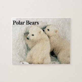 Puzzle des oursons polaires