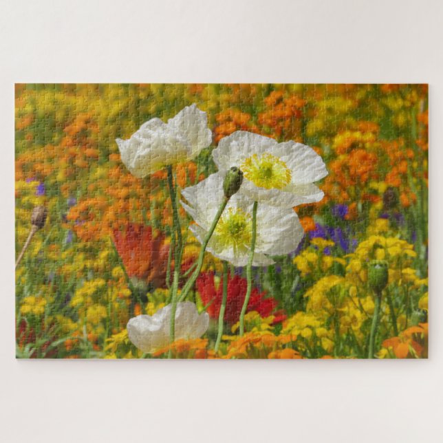 Puzzle Des pavots blancs poussent autour des fleurs color (Horizontal)