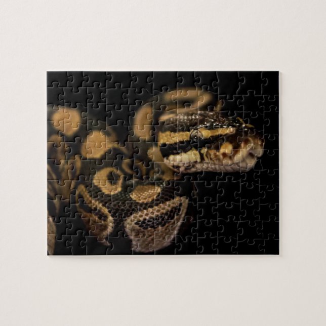 Puzzle des serpents (Horizontal)