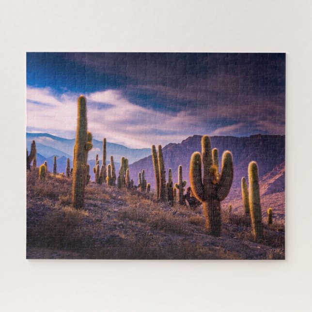 Puzzle Deserts | Cactus Landscape Argentina (Horizontal)