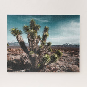 Puzzle Deserts Cholla
