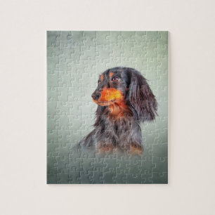 Puzzle Dessin Dachshund de race de chien
