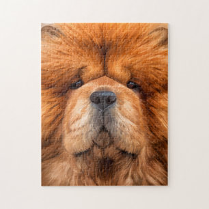 Puzzle Dessin de chow chow chow