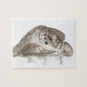 Puzzle Dessin de tortue de mer verte