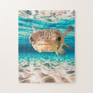 Puzzle Dessin d'un poisson-grenouille mignon, animal de l
