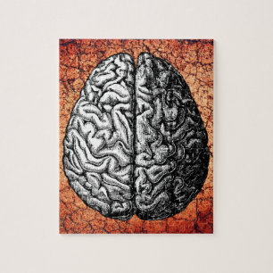 PUZZLE DESSIN VINTAGE DE CERVEAU