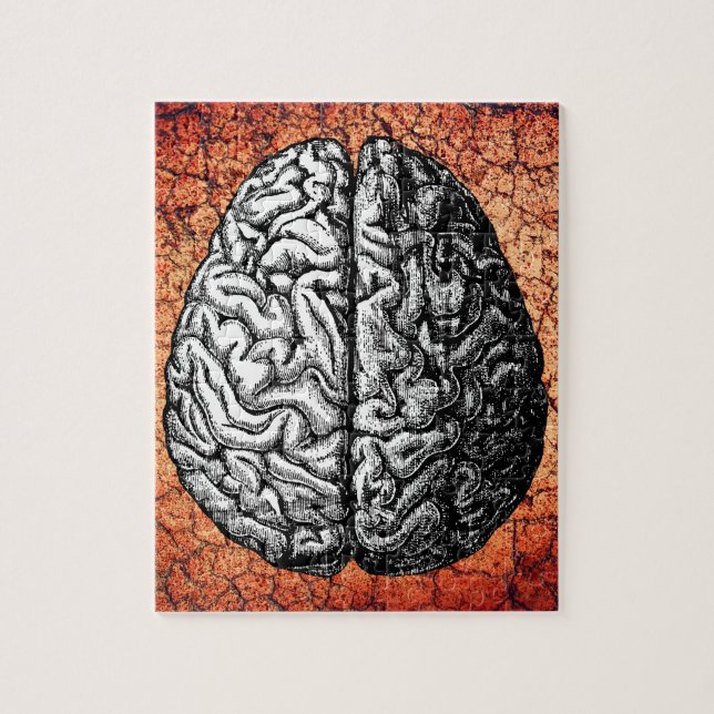 PUZZLE DESSIN VINTAGE DU CERVEAU (Vertical)