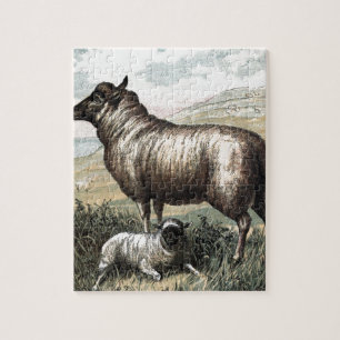 Puzzle Dessin vintage : Moutons de Persan de point noir