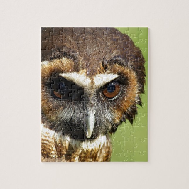 Puzzle Destin animal d'harmonie d'arbre de parc naturel d (Vertical)