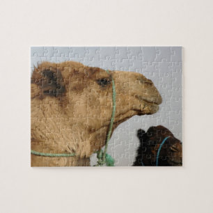 Puzzle Destin de nature d'amour de paix de Moyen-Orient d