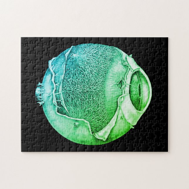 Puzzle Détail de l'énigme Vintage étrange moderne Dessin  (Horizontal)