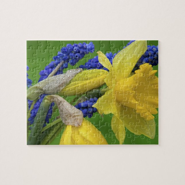 Puzzle Détail des fleurs de jonquille et de jacinthe. Cré (Horizontal)