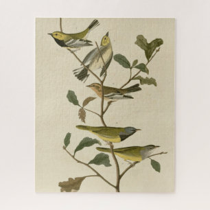 Puzzle Deuil, Autres Parulines, Audubon Birds of America