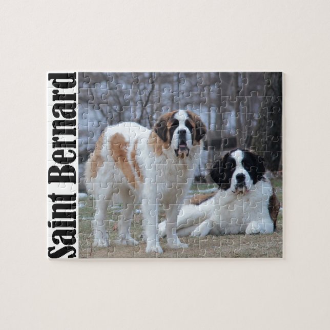 Puzzle Deux beaux Saint-Bernard (Horizontal)