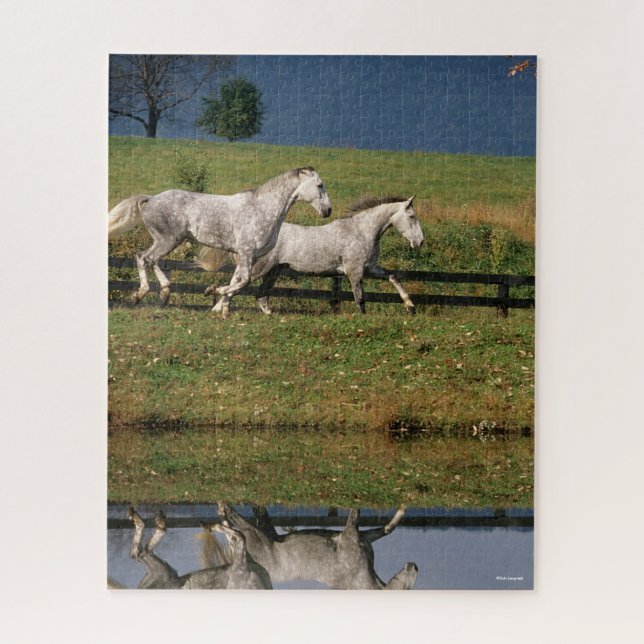 Puzzle Deux Chevaux Percheron Gris Dapple Courant (Vertical)