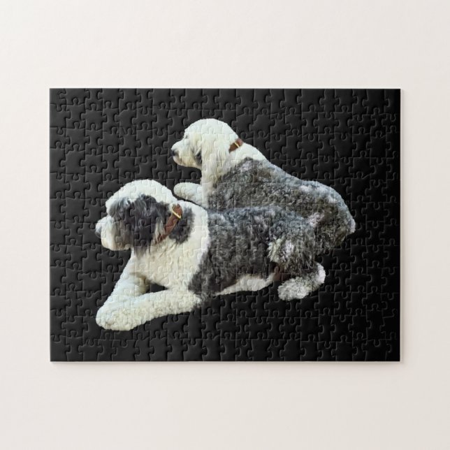 Puzzle Deux chiens de berger (Horizontal)