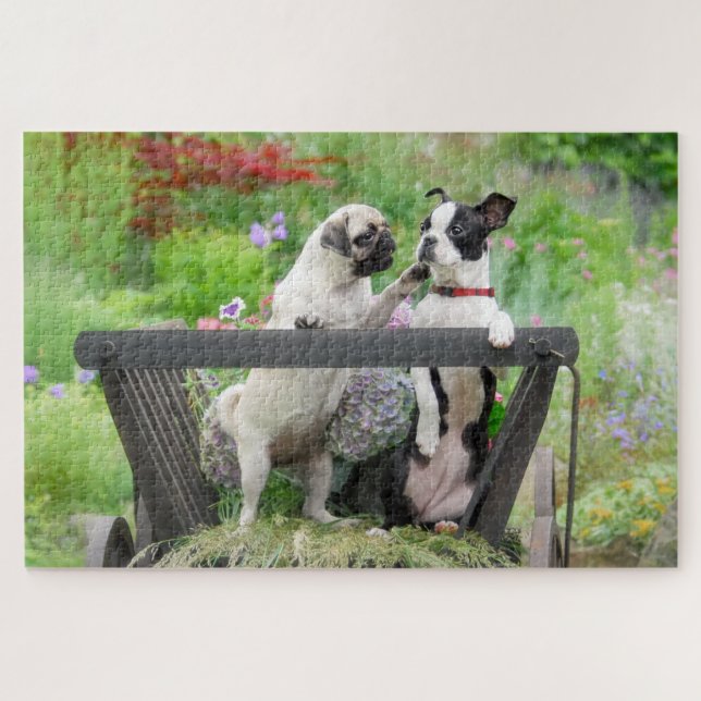 Puzzle Deux chiens par chiot carlin et Boston Terrier dan (Horizontal)