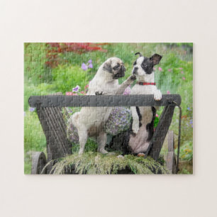 Puzzle Deux chiens par chiot carlin et Boston Terrier dan