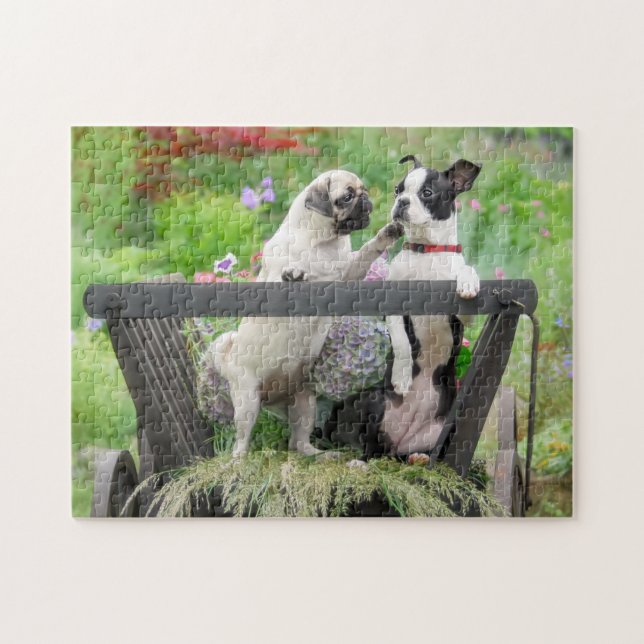 Puzzle Deux chiens par chiot carlin et Boston Terrier dan (Horizontal)