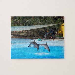 Puzzle Deux dauphins