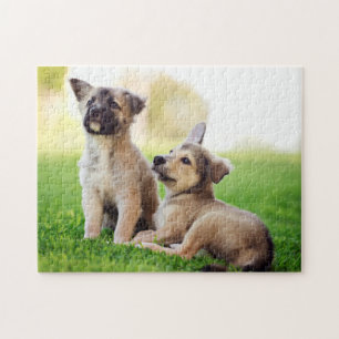 Puzzle Deux German Shepherd