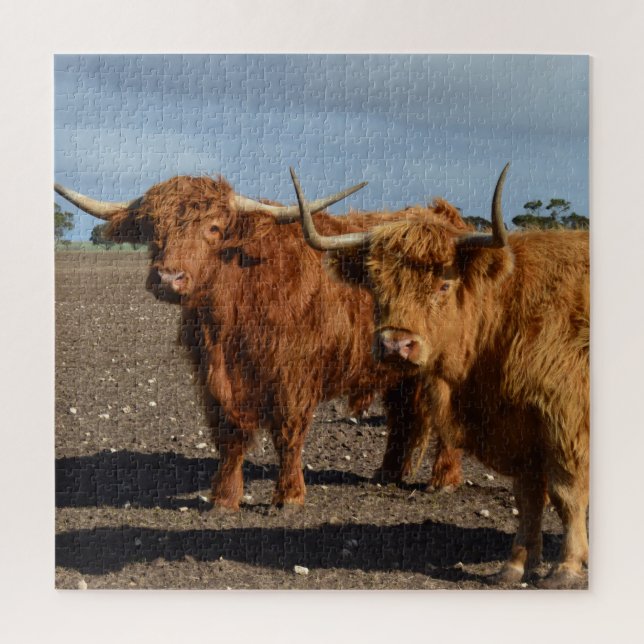 Puzzle Deux Grosses Vaches Brown, (Vertical)