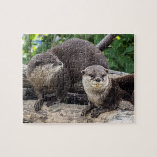 Puzzle Deux loutre mignonne des loutres |