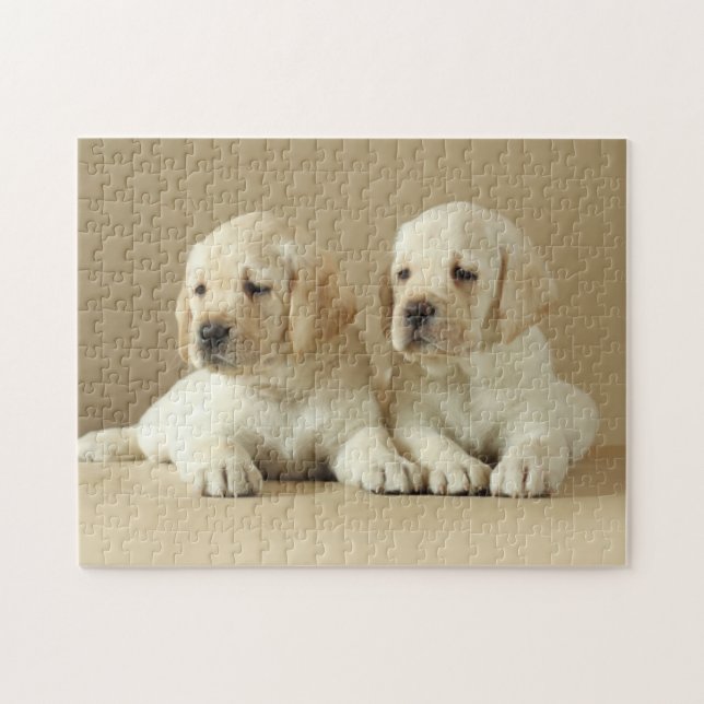 Puzzle Deux Marionnettes Golden Labrador (Horizontal)