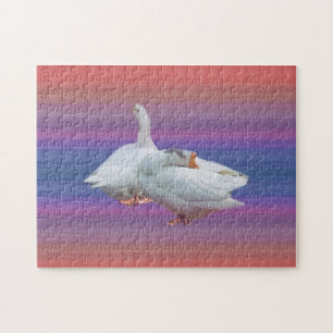 Puzzle deux oies blanches sur fond de couleur