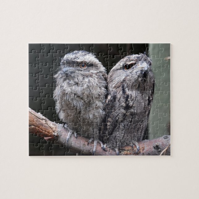Puzzle Deux Oiseaux Tawny Frogmouth (Horizontal)