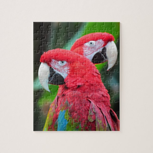 Puzzle Deux perroquets macaw colorés (Vertical)