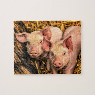 Puzzle Deux petits cochons