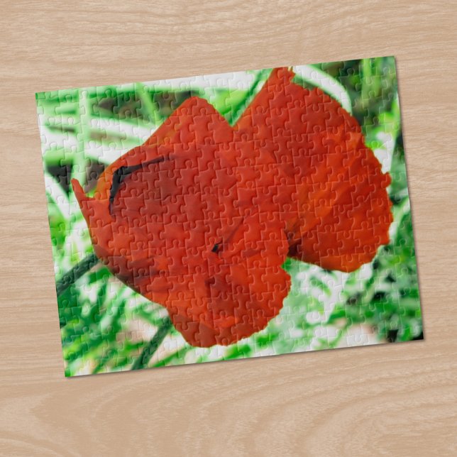 Puzzle Deux Photos Orientales Fleur Photo (Two Oriental Poppies Flower Photo Jigsaw Puzzle, in situ)