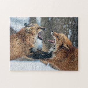 Puzzle Deux renards rouges qui combattent