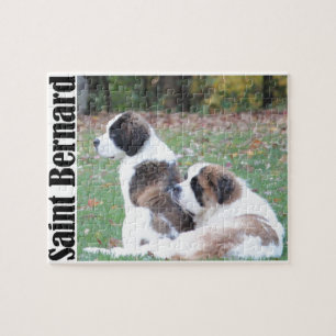 Puzzle Deux Saint Bernards