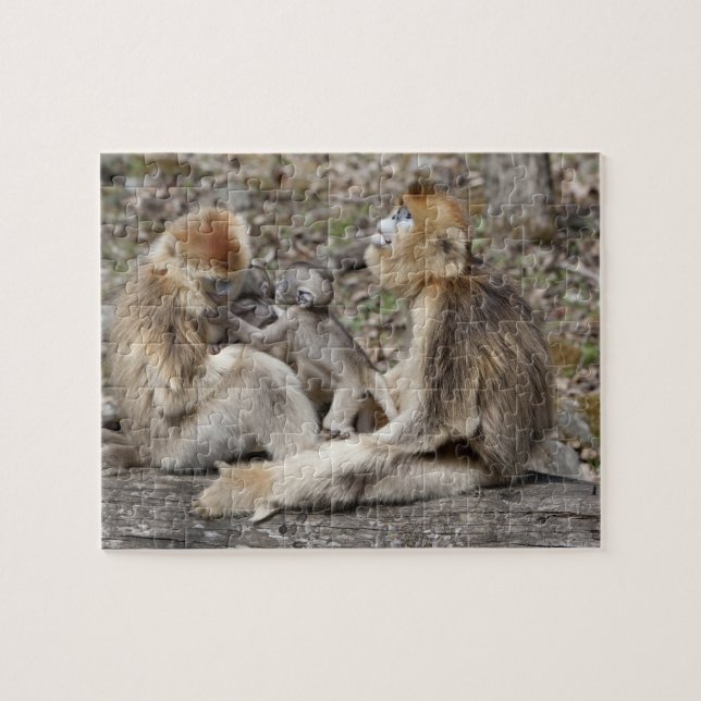 Puzzle Deux singes dorés femelles avec des nouveau-nés (Horizontal)