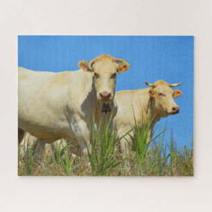 Puzzle Deux vaches en France