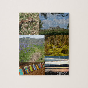 Puzzle Devon