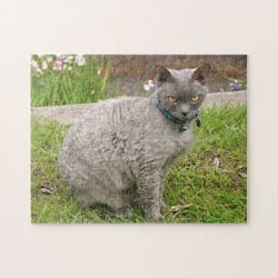 Puzzle Devon Rex chat animal de compagnie dans le jardin