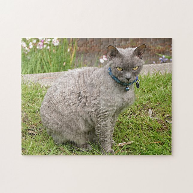 Puzzle Devon Rex chat animal de compagnie dans le jardin (Horizontal)